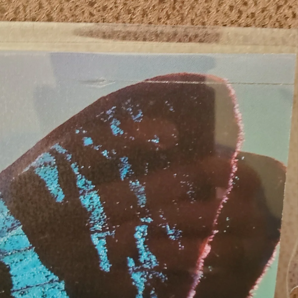 Happy Planner classic sized cover homemade Psalm 27:1 mountains *defects*